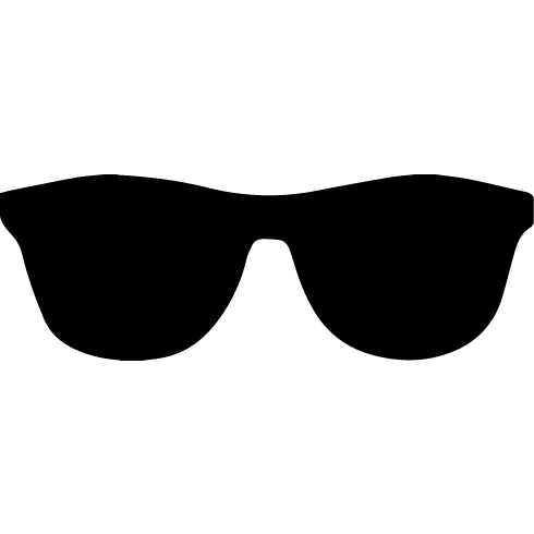 Tom Ford Tf66652n Black Sunglasses
